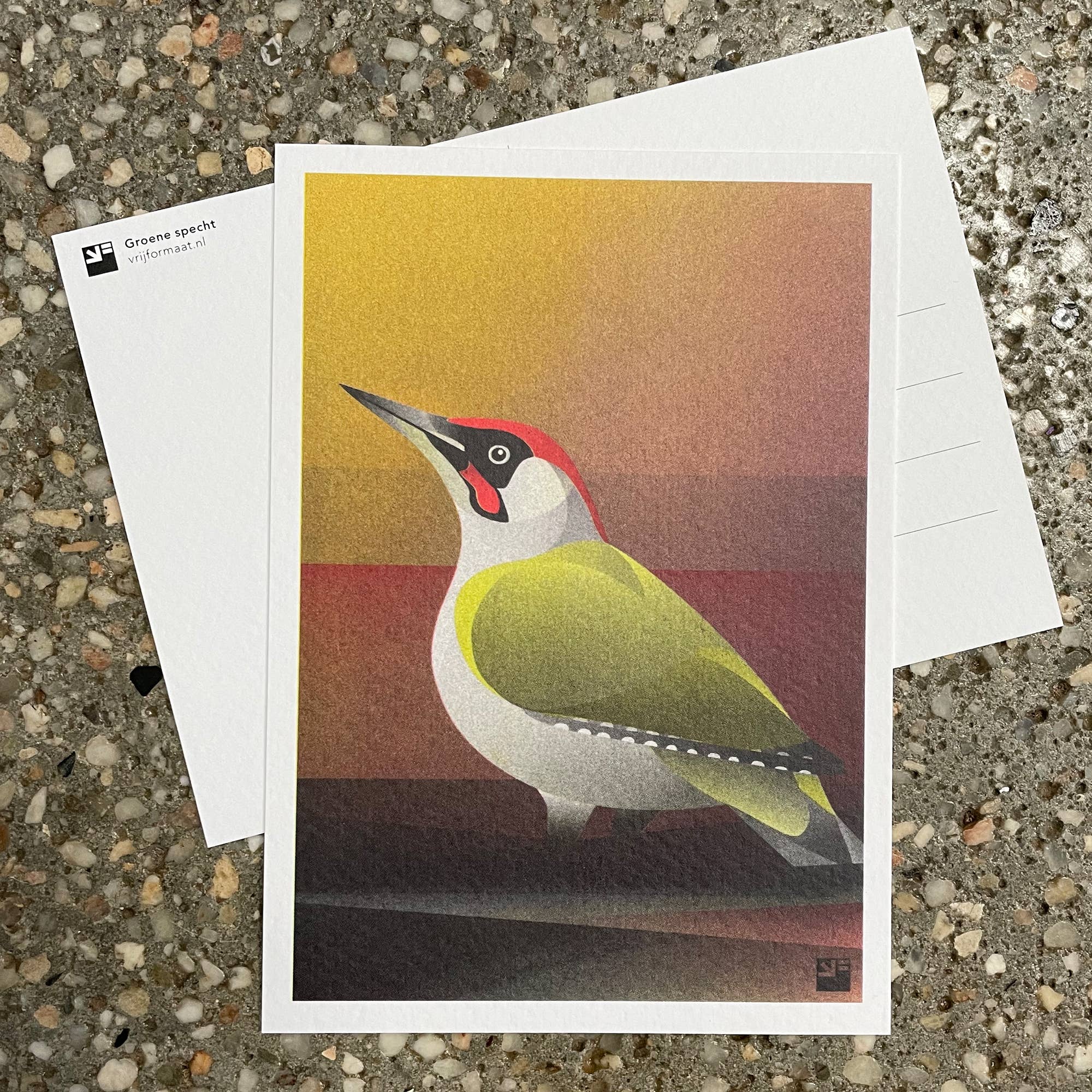 VrijFormaat - Wholesale Postcard - postcard - Green Woodpecker (Birds) - A60
