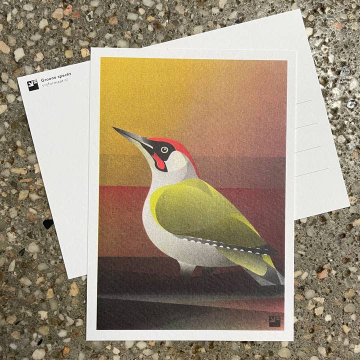 VrijFormaat - Wholesale Postcard - postcard - Green Woodpecker (Birds) - A6