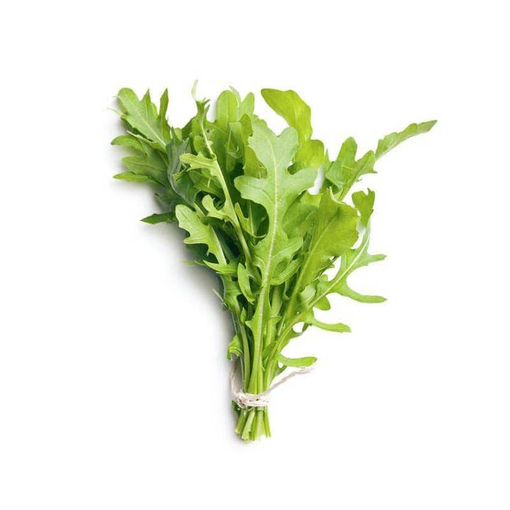 Bentley Seed Co. - Wholesale Plant Seeds - Arugula, Roquette Seed Packets2