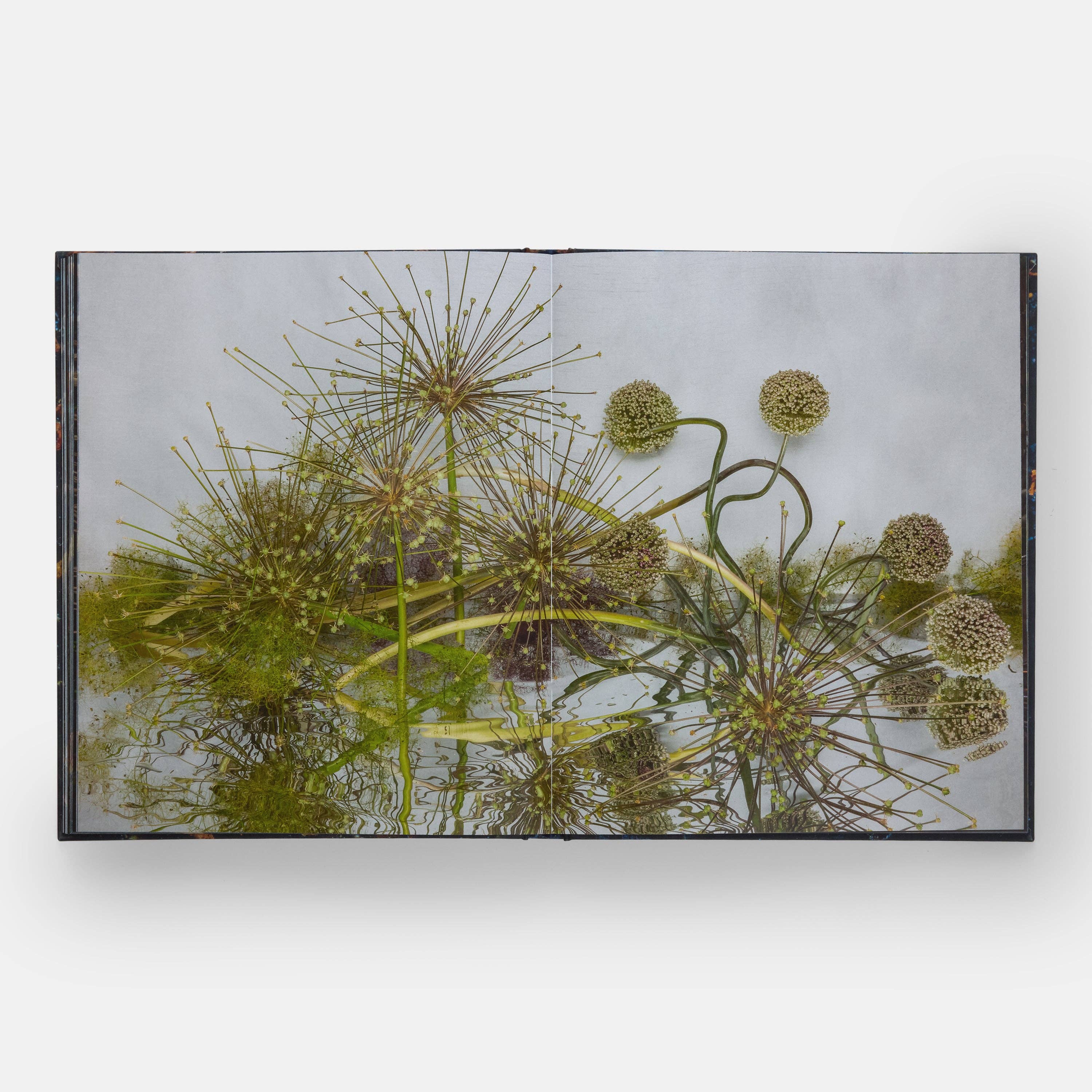 Phaidon Press – wholesale Book – Adult – Emily Thompson Flowers5