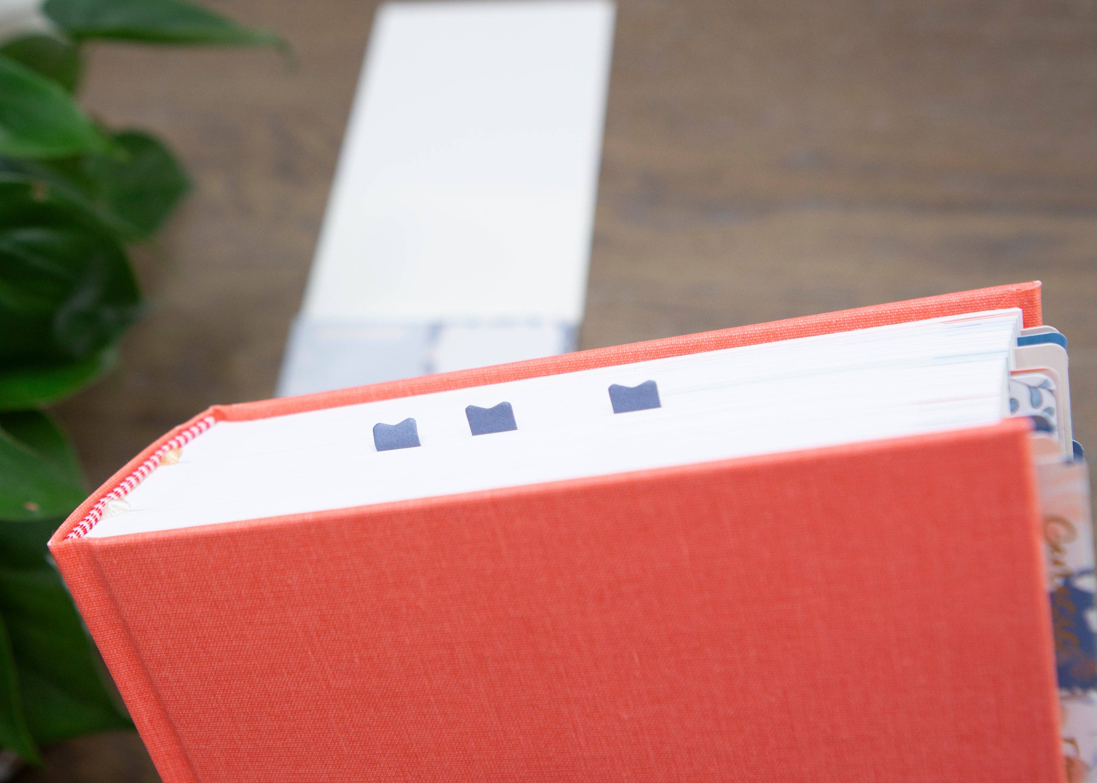 Chosen & Cherished - Wholesale Sticky Notes - Selah Sticky Notes for Bible Study4