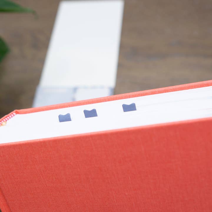 Chosen & Cherished - Wholesale Sticky Notes - Selah Sticky Notes for Bible Study4