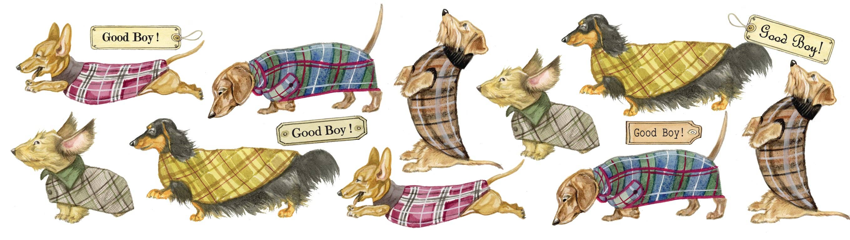 Animal Prints – wholesale Coffee mug – Mugs with collage - Dachshund - design 22