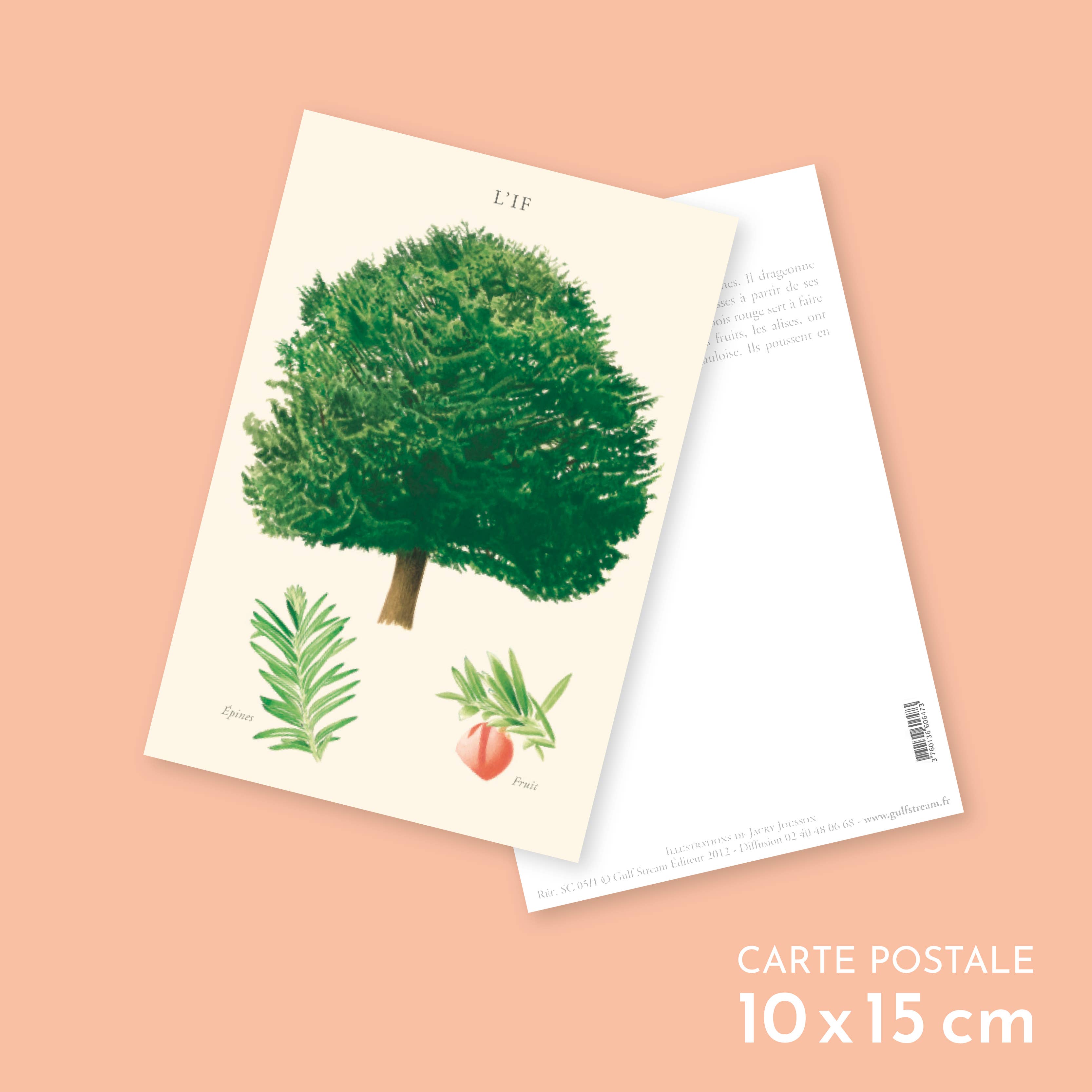 Longue-vue - Wholesale Ansichtkaart - If - Ansichtkaart0