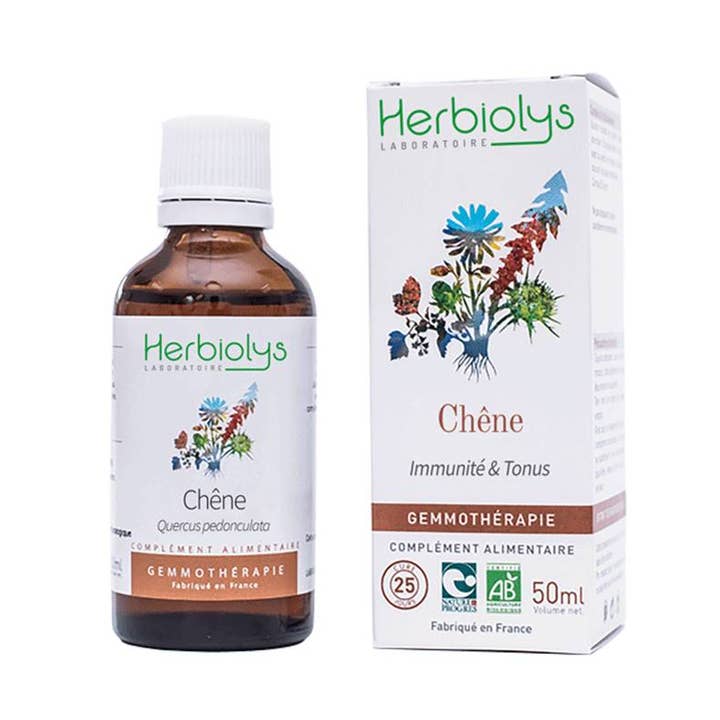 Oak Gemmotherapy for wholesale by Herbiolys