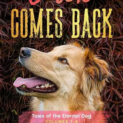 Books by splitShops - Wholesale Book - Adult - Jack Comes Back: Tales of the Eternal Dog, Volumes 1-4 - Paperback0