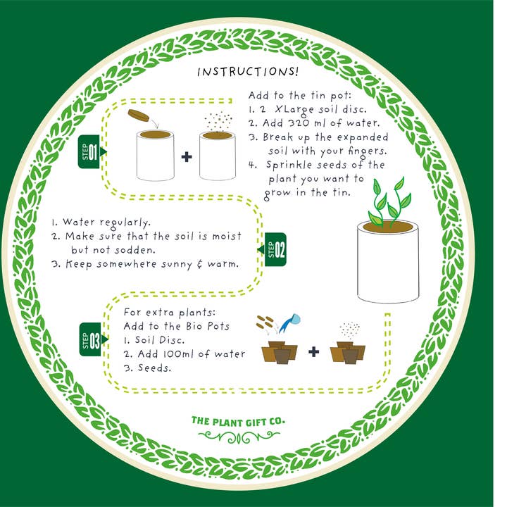 The Plant Gift Co. – wholesale Plant seeds – Red Hot Chilli Pot. Grow Your Own Plant Kit, Gardening Gift3