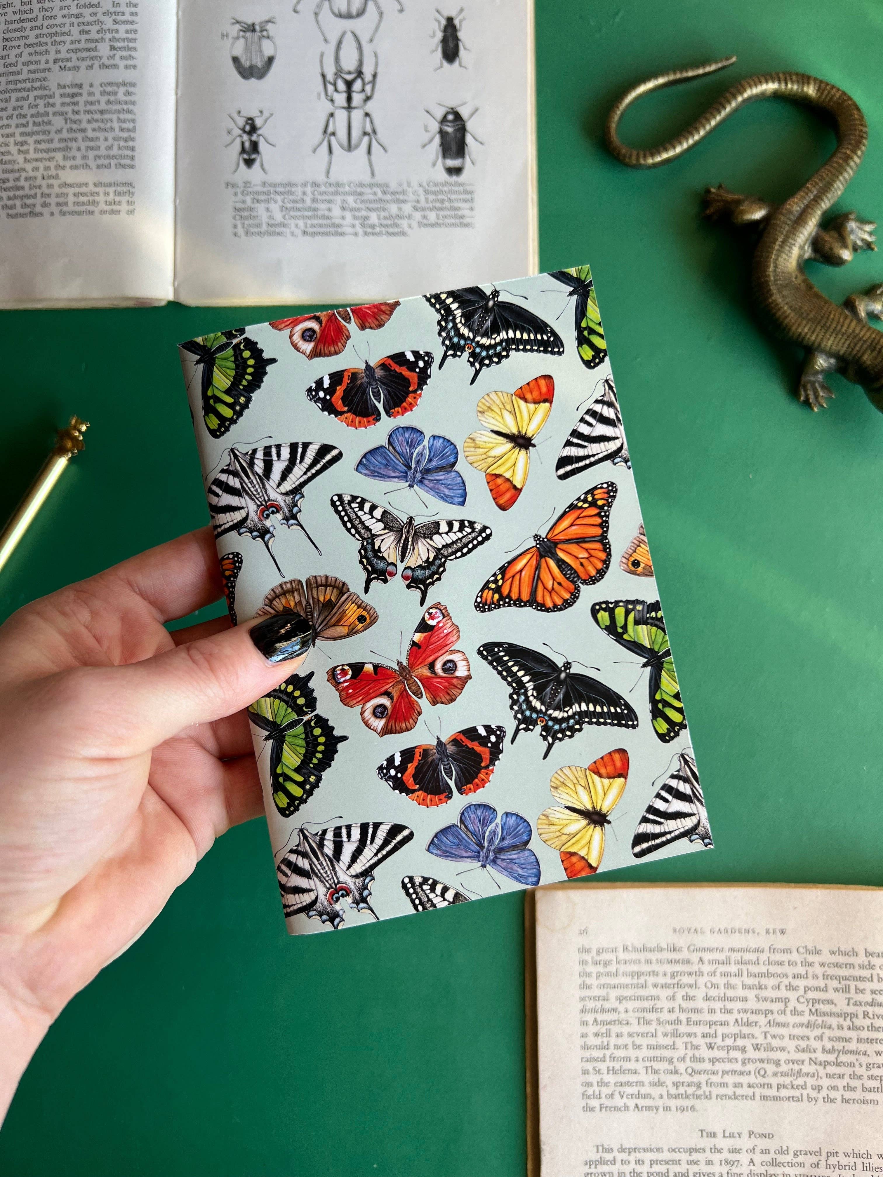 Tansy Moore – wholesale Notebook – Butterflies Pocket Notebook5