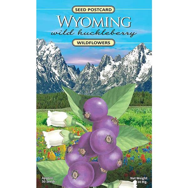 Created By Nature - Wholesale Plant Seeds - Wyoming Wild Huckleberry Wildflower Seed Packet