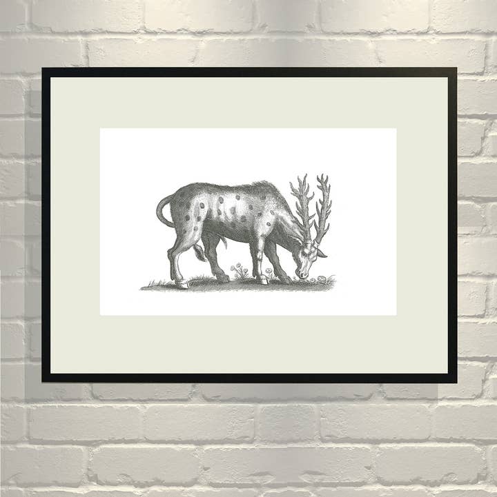 VMazzoni - Wholesale Art Print - Dotted Beast0