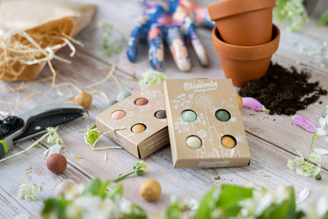 Blossombs - Wholesale Plant Seeds - Organic Gift – ‘Wishing You a Colorful Xmas’ - 4 Blossombs2