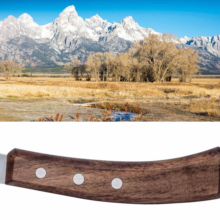 Universal knife / Jackson / Teton Range for wholesale by Brainstream USA