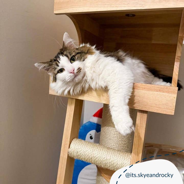 Lords and Labradors - Wholesale Pet Scratcher - Cat - Helsinki The Levels Cat Play Centre4