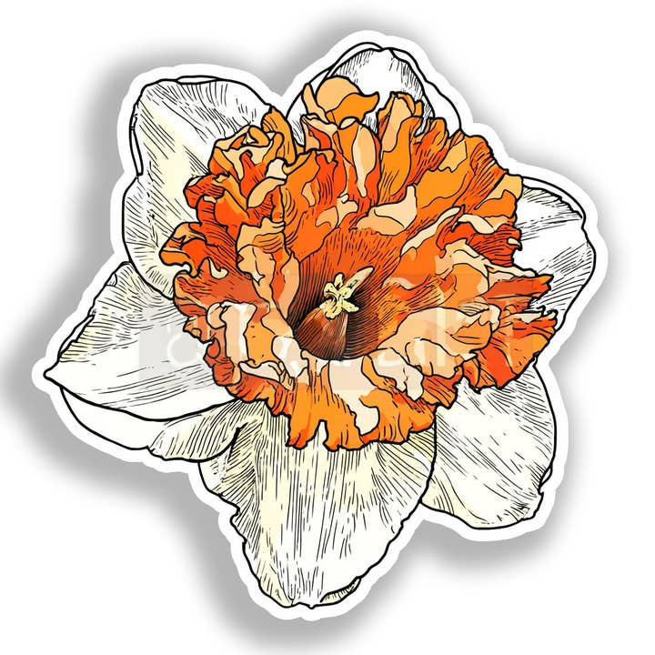 Yoonek Graphics - Wholesale Sticker - Daffodil Flower Decal Sticker # A019741