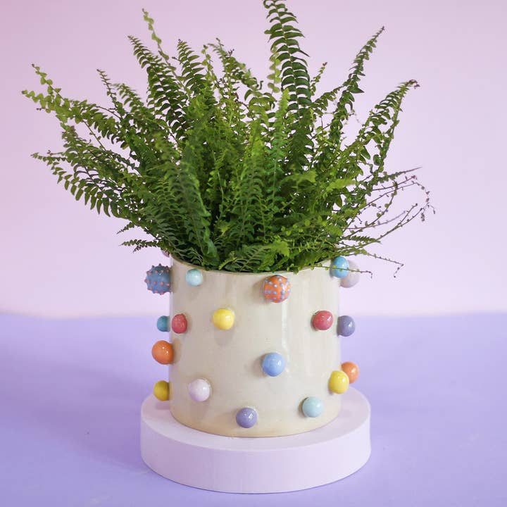 Elena Ágata Ceramics – Großhandel Blumentopf – Pompon-Pflanzgefäß3