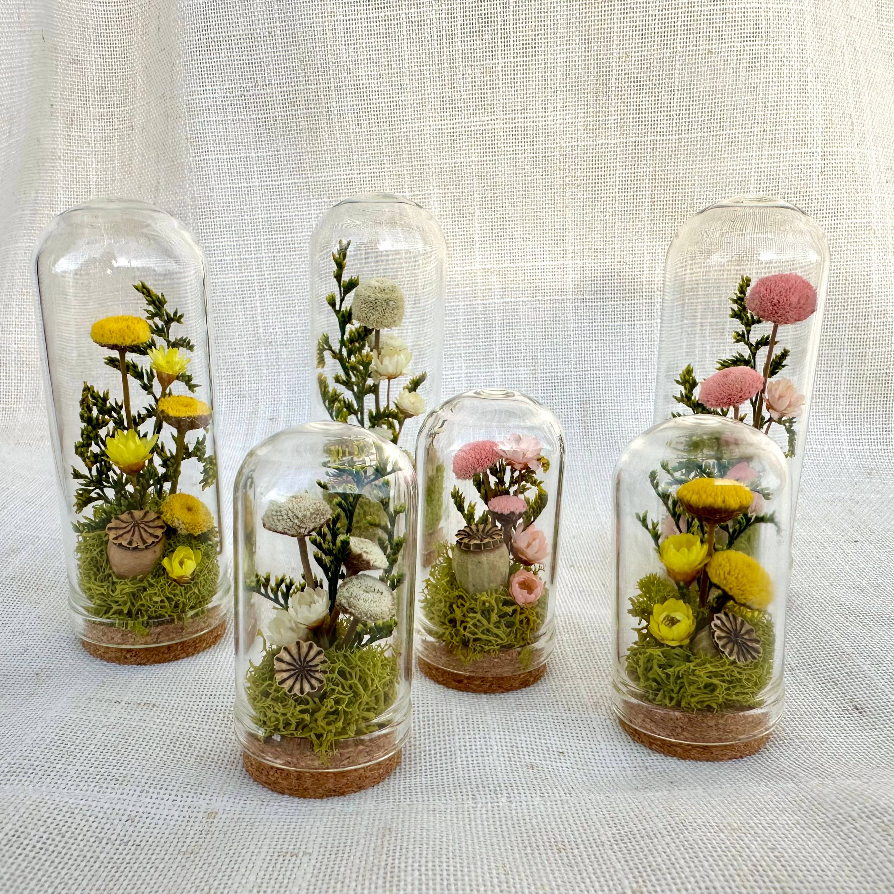 CA Studios - Wholesale Terrarium - Flower Forest Mix Mini Cloche Terrarium w. Dried Florals