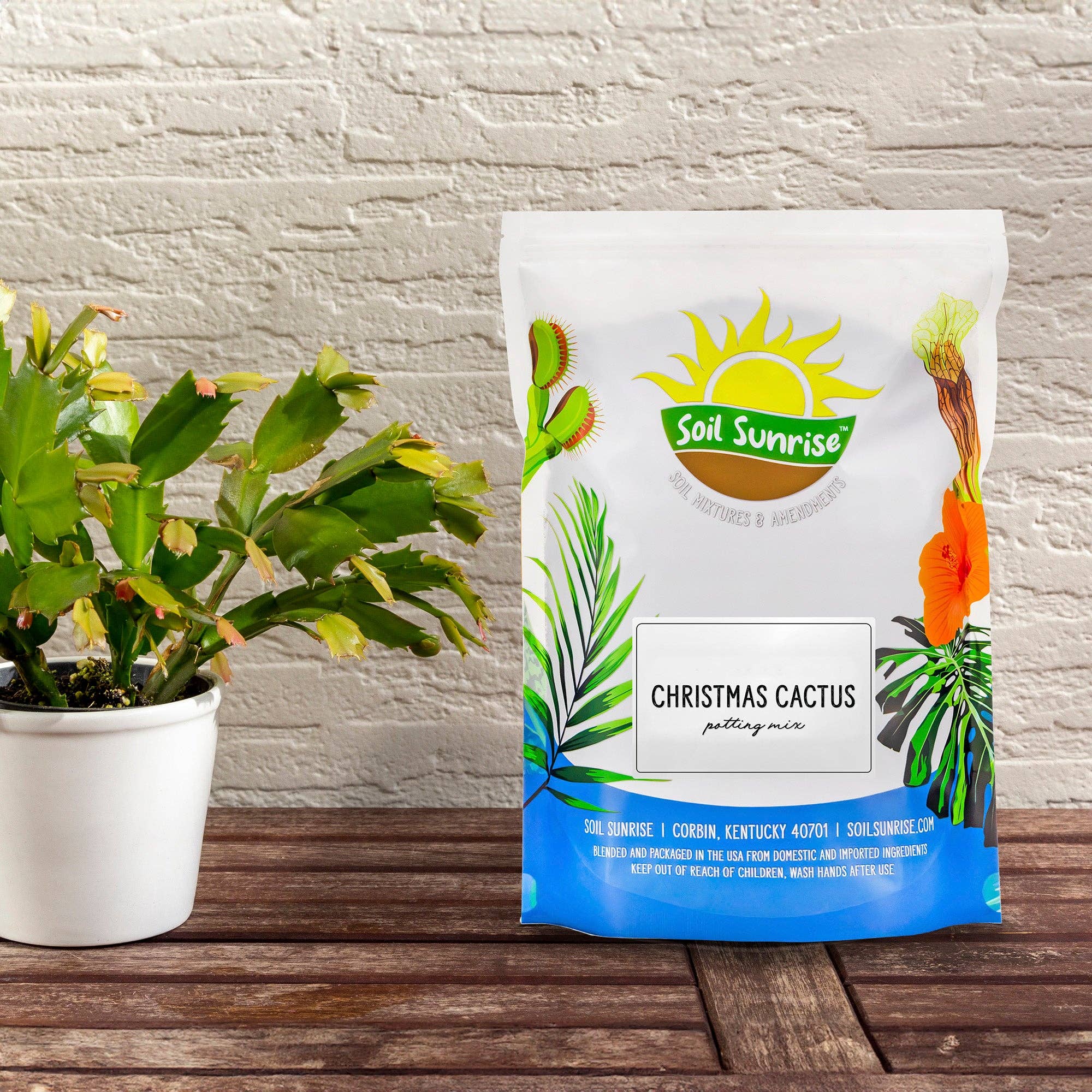 Kurated Korner – Großhandel Pflanz-/Blumenerde – Soil Sunrise Blumenerde-Mischung für Weihnachtskakteen0