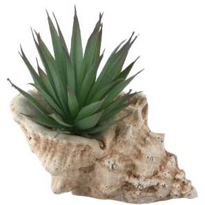 Concepts Conch Planter – Beachy 6" Faux Greenery for wholesale by Concepts In Time