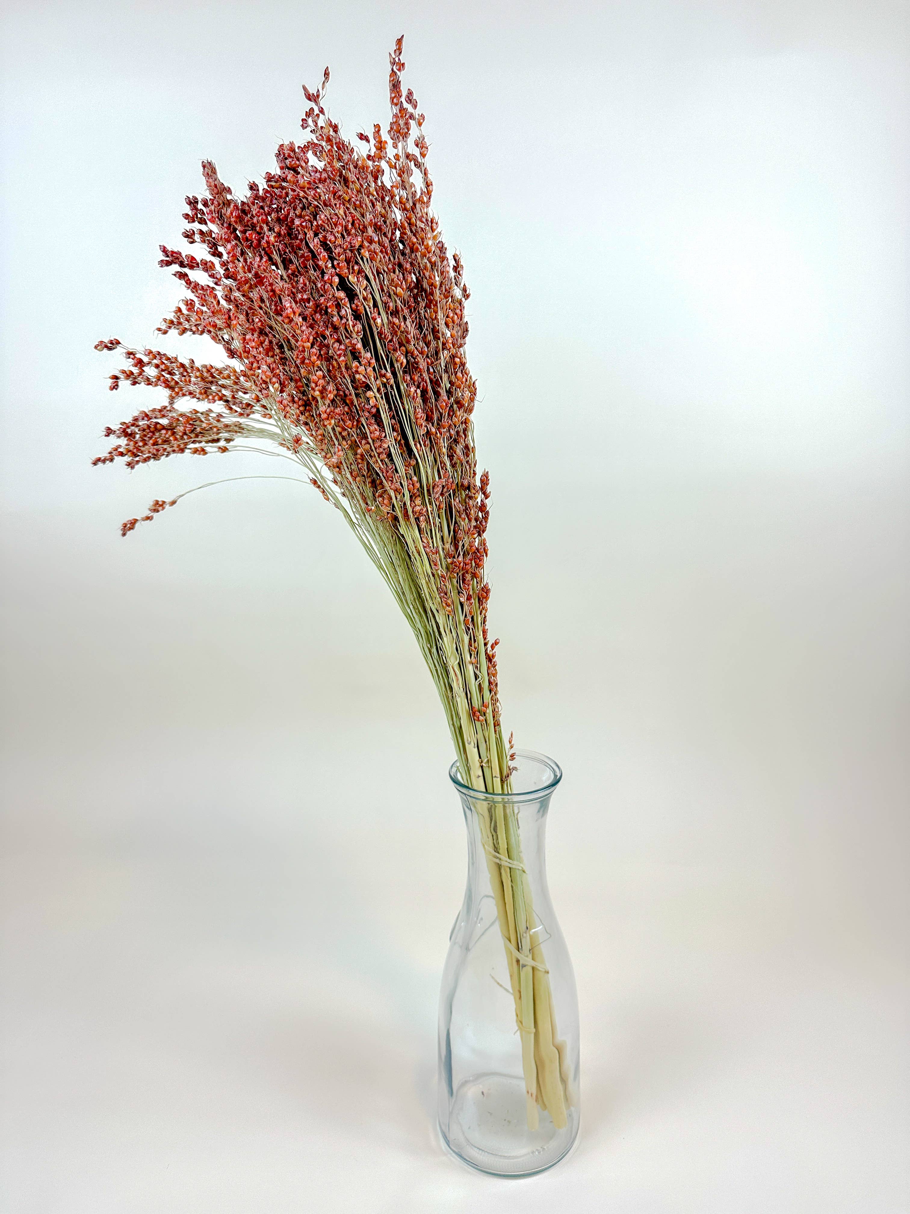 Lovejoy Farms Premium Dried Flowers - Wholesale Dried/Pressed Flowers - Red-Orange Broom Corn – Naturally Dried Fall Decor