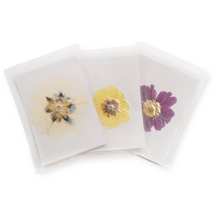 Pressed Peony Collection- Assorted Set Of 9 for wholesale by Sugarboo & Co