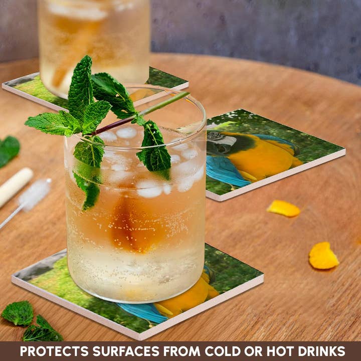 3dRose - Wholesale Coasters - 3dRose, Closeup Macaw, Coaster2