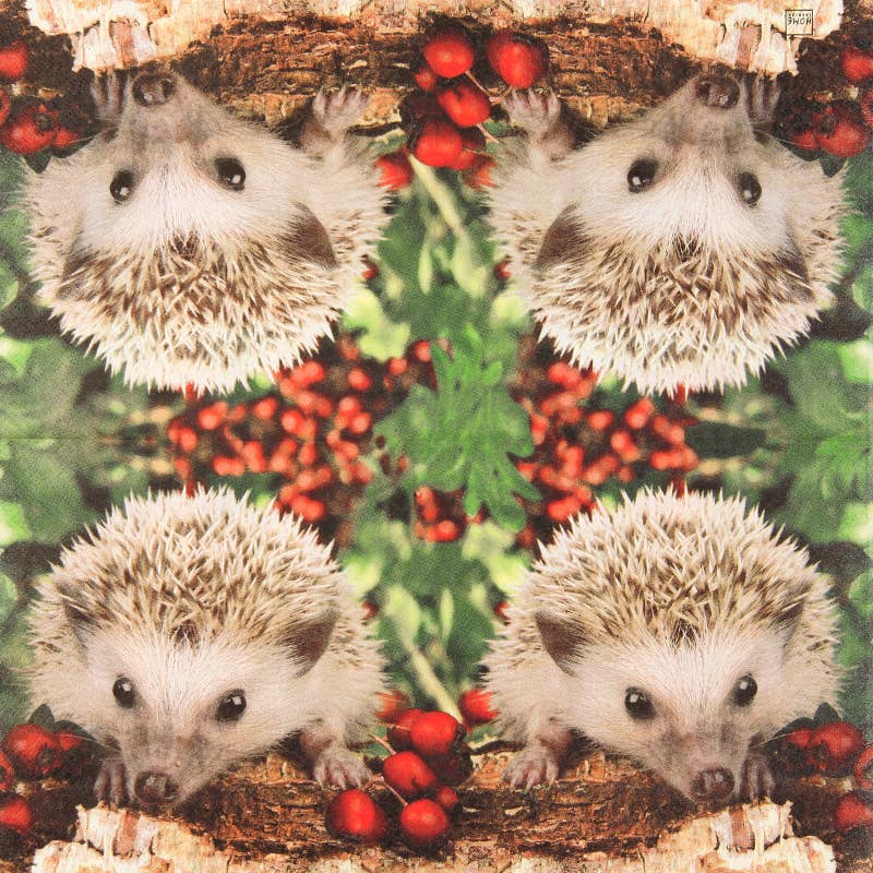 Home Fashion - Carl Dietrich GmbH - Wholesale Disposable Napkin - Barnie lunchnapkins1