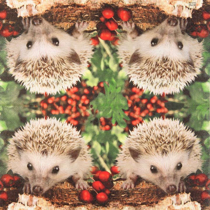 Home Fashion - Carl Dietrich GmbH - Wholesale Disposable Napkin - Barnie lunchnapkins1