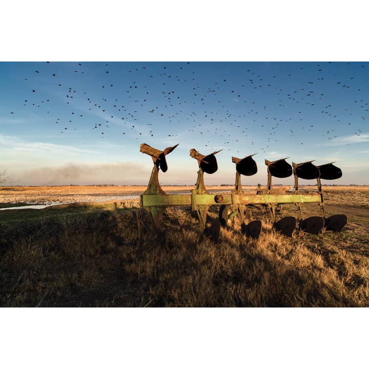 W. W. Norton - Wholesale Book - Adult - California Exposures: Envisioning Myth and History1