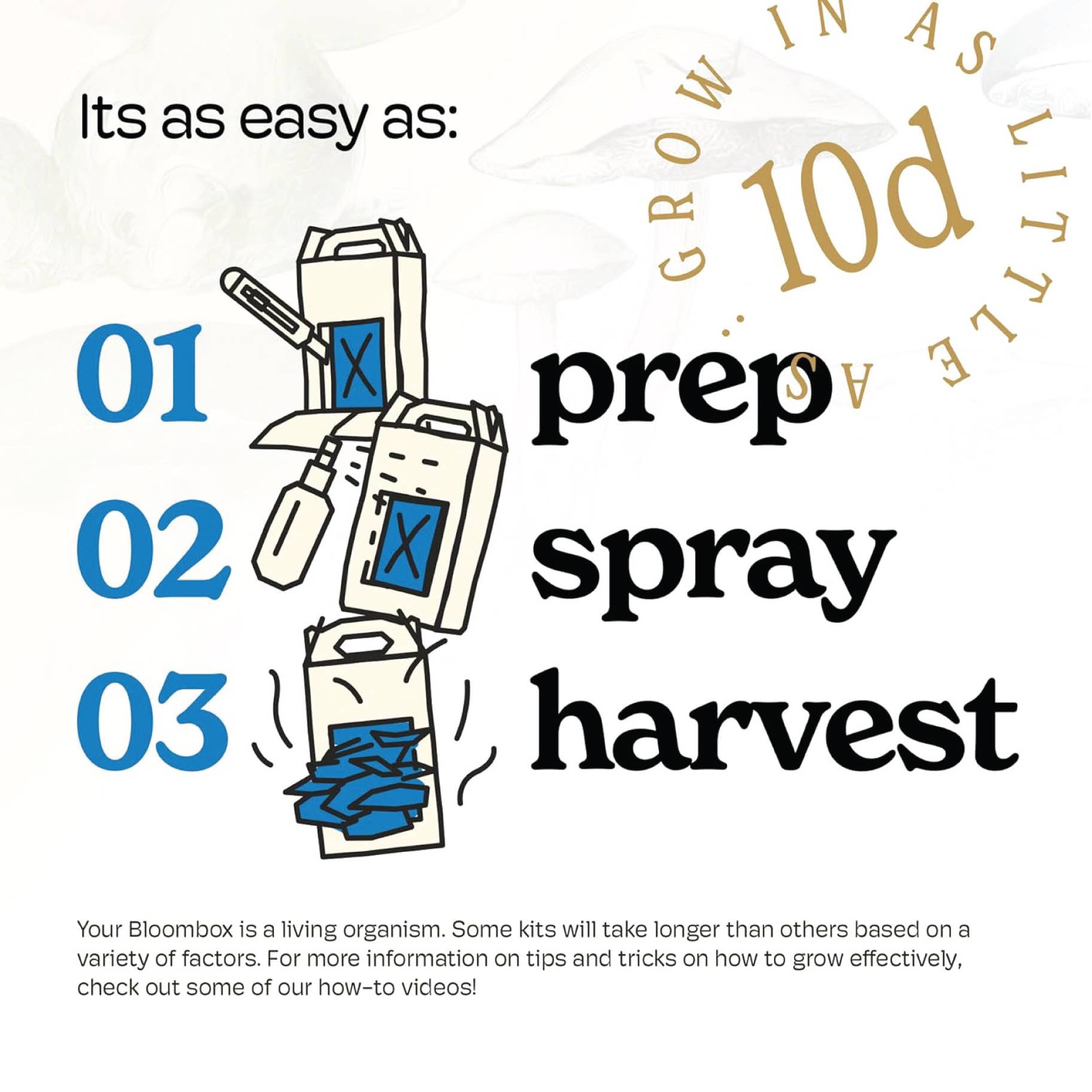 Nublume Mushroom - Vente Jardinière - Kit de culture de pleurotes bleus | Kit de jardinage d'intérieur DIY3