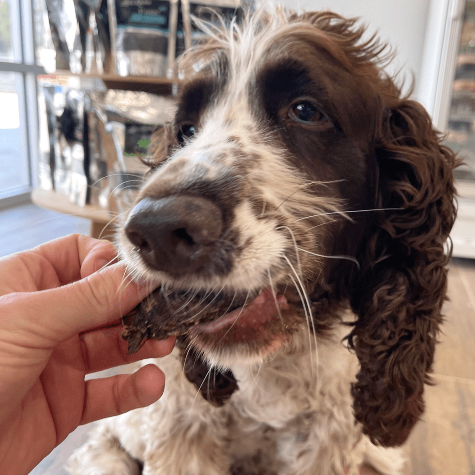 Rover Pet Products - Vente Friandises – chien - Acheter en gros 1kg de friandises pour chiens au jerky de venaison3