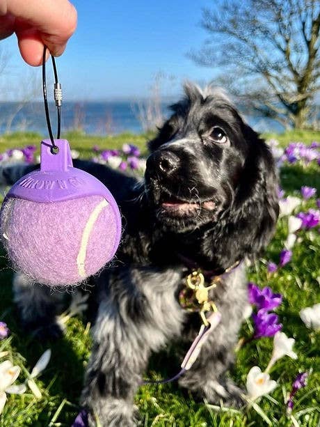 Throw N Go Medium Dog Ball Holder for wholesale by Throw'N'Go