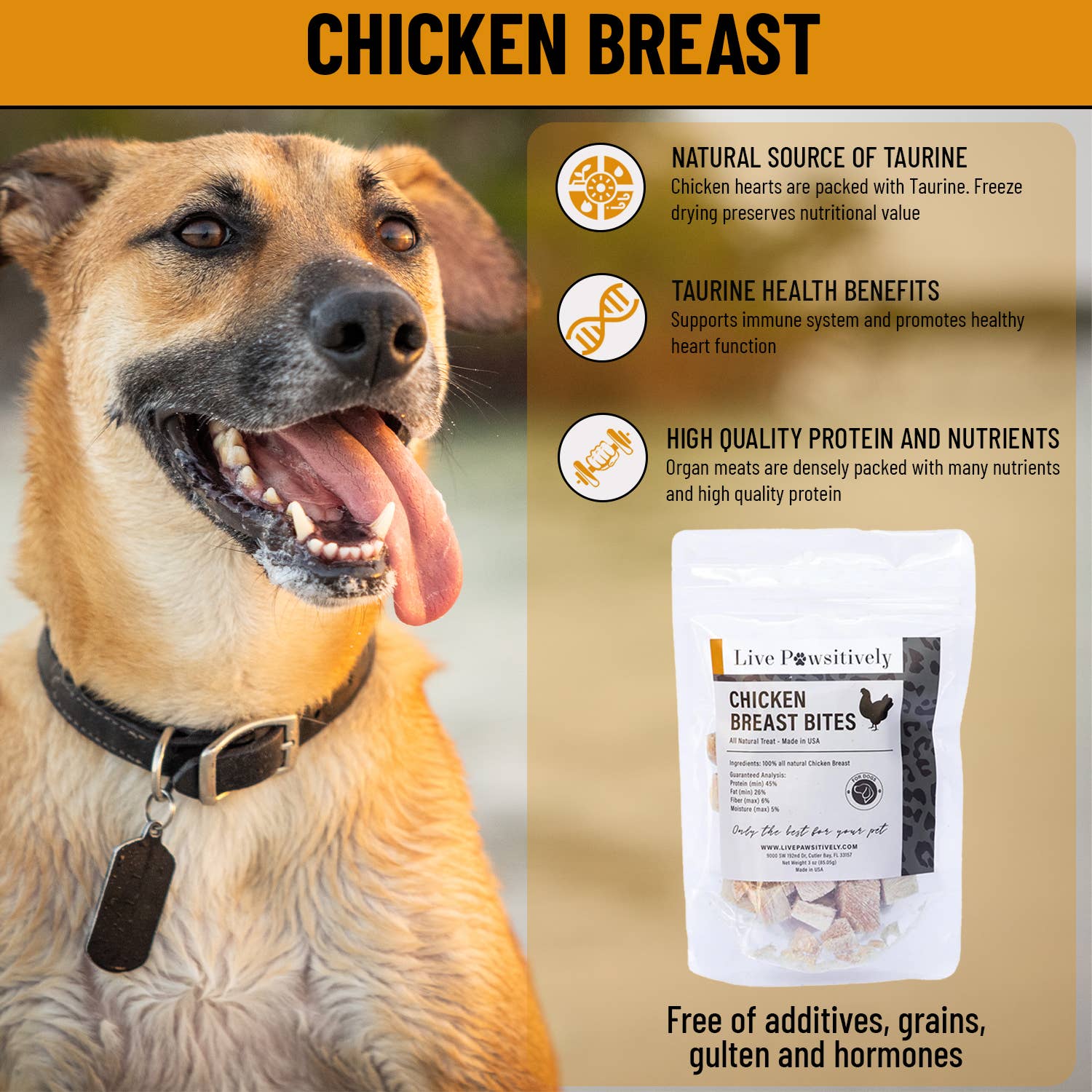 Live Pawsitive - Wholesale Pet treats – Dog - Chicken Breast Bite2