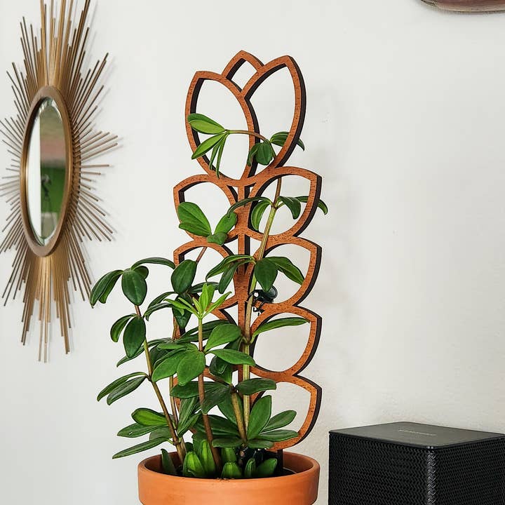 MCM Style Wood Indoor Plant Trellis (Tulip - 2 Sizes) for wholesale by Leaf & Node