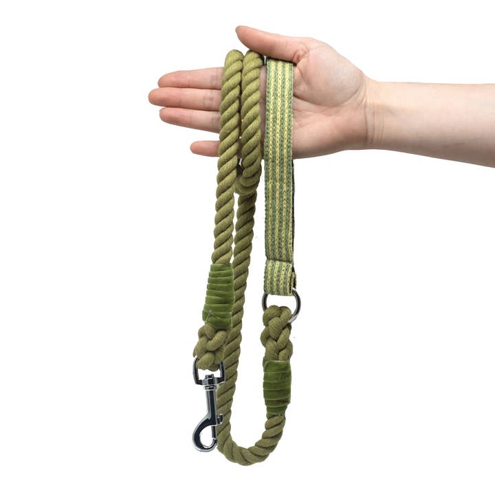 Pistache - Collection Tutti - Laisse en corde pour chien pour la vente par Stocky & Dee