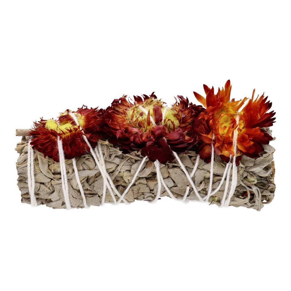 Vives de la Cortada S.L - Venta al por mayor Salvia - Salvia blanca con Siempreviva1