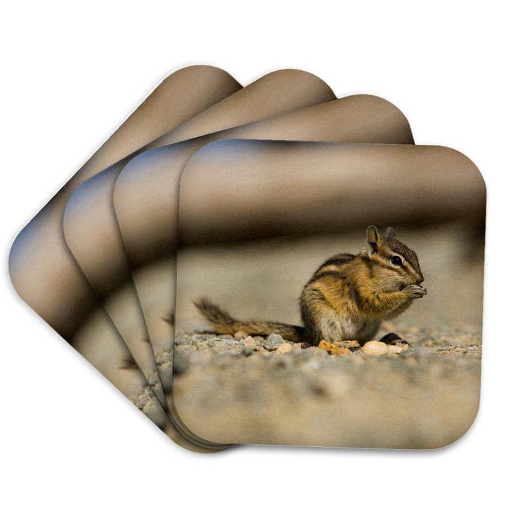 3dRose, Eekhoorn bij Whistler in de vroege herfst, British Columbia, Canada, Onderzetter voor wholesale door 3dRose
