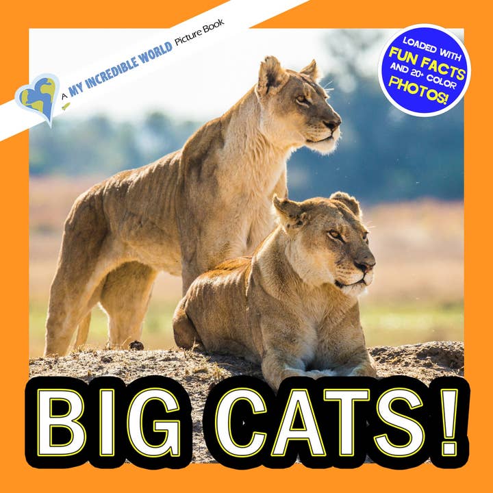Big Cats! A My Incredible World Picture Book for Children for wholesale by My Incredible World