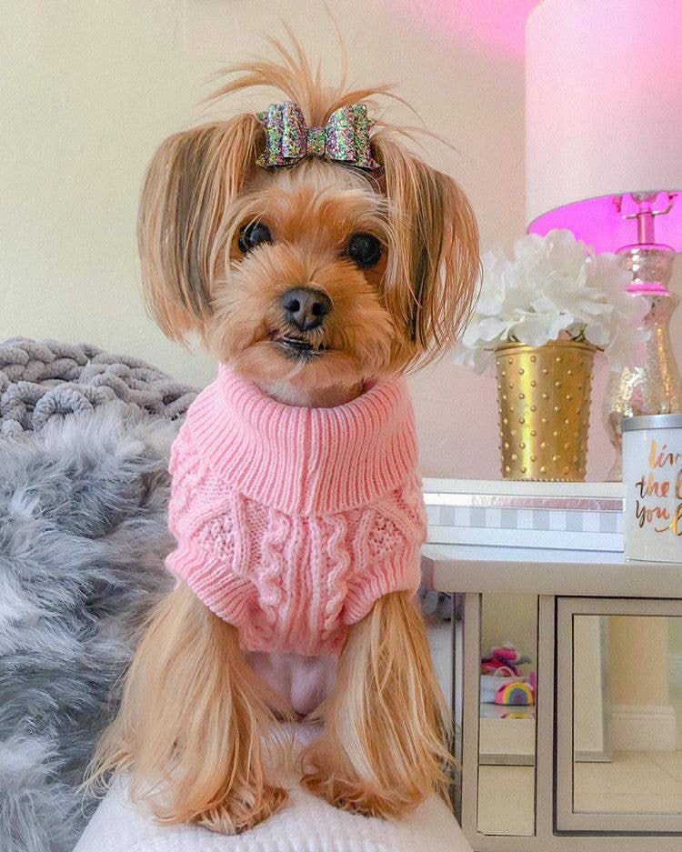 Parisian Pet® – Großhandel Haustier-Pullover – Hund – Parisian Pet® Strickpullover für Hunde in Blush Pink – Warm, weich und modisch3