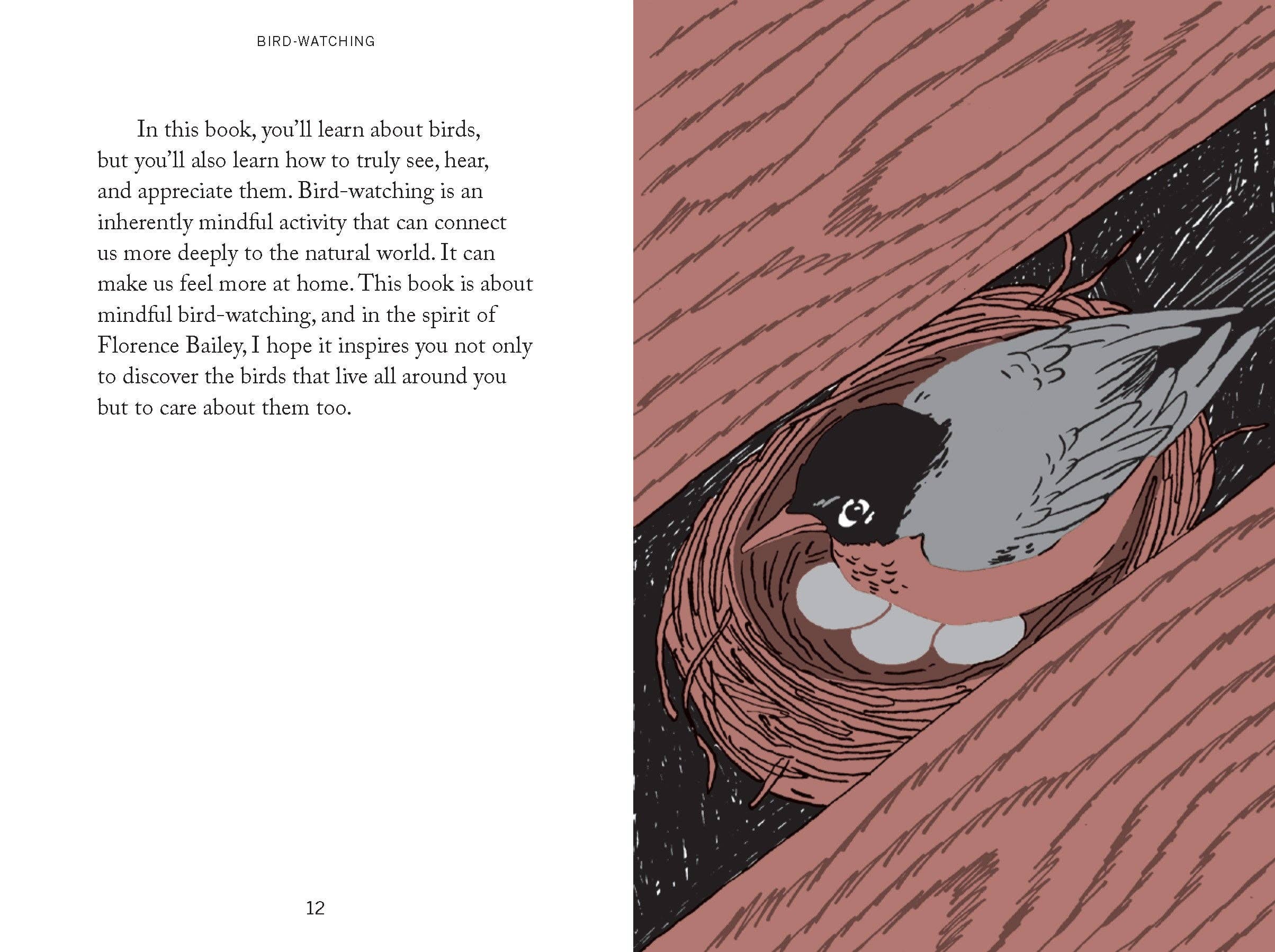 Chronicle Books - Wholesale Nature & Outdoors Book - Pocket Nature: Bird-Watching7