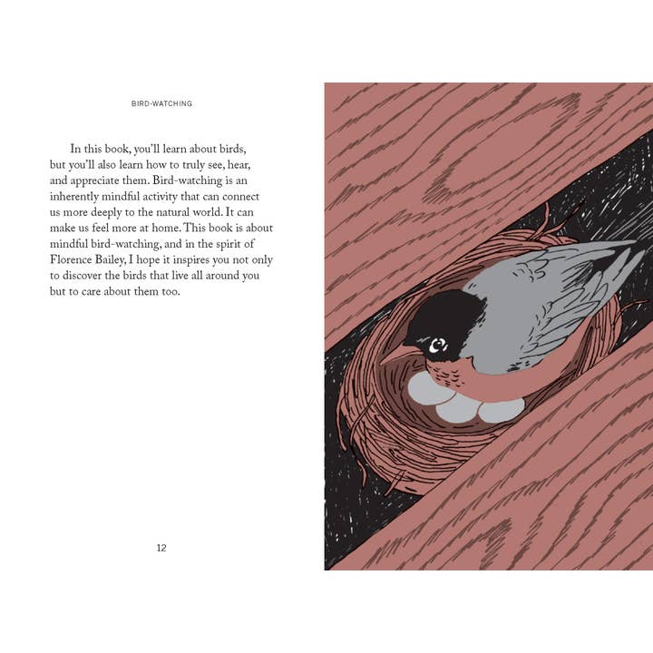 Chronicle Books - Wholesale Nature & Outdoors Book - Pocket Nature: Bird-Watching7