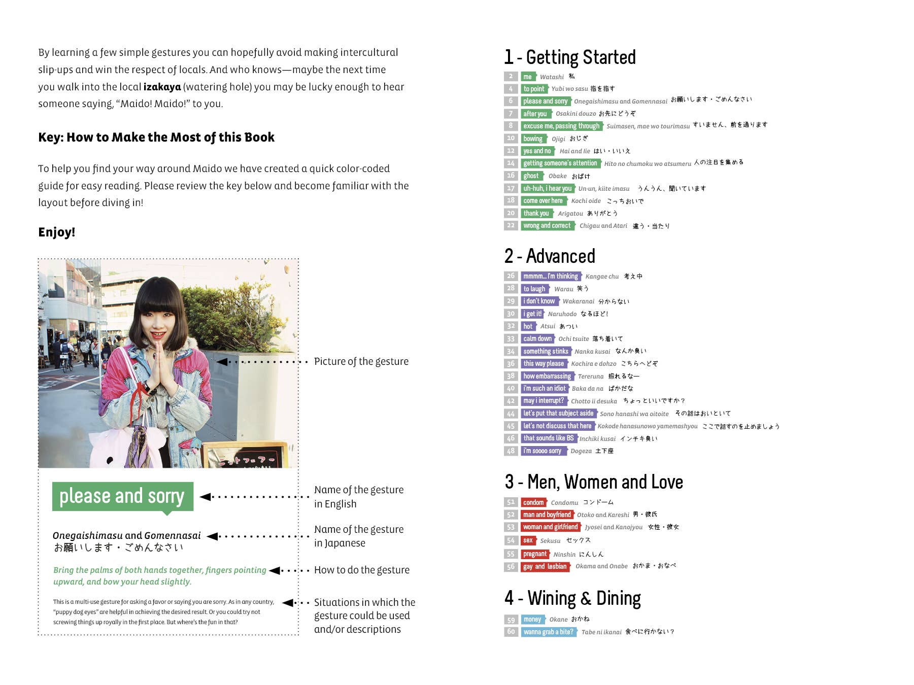 Schiffer Publishing - Wholesale Language & Linguistics - Maido: A Gaijin's Guide to Japanese Gestures and Culture1