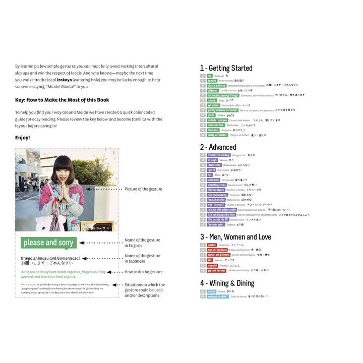 Schiffer Publishing - Wholesale Language & Linguistics - Maido: A Gaijin's Guide to Japanese Gestures and Culture1