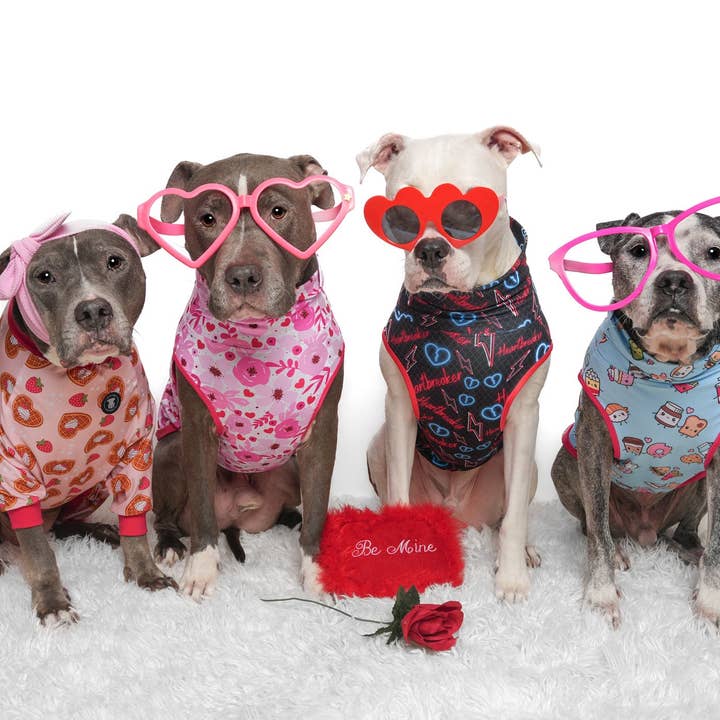 Pittie Clothing Co. - Wholesale Pet Pajamas - Dog - Waffley Cute Pit bull Pajamas