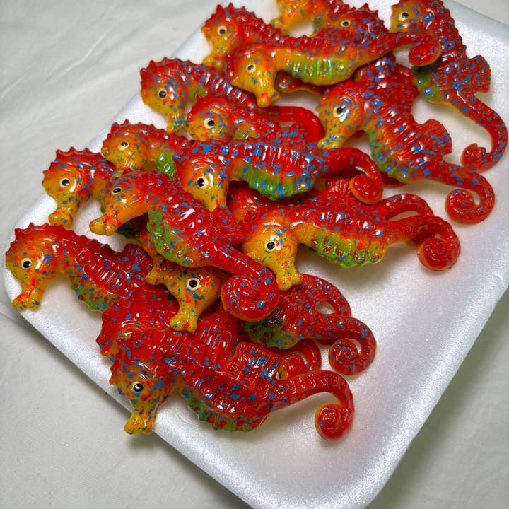 Magnets Market - Wholesale Magnet - Seahorse Kitchen Magnet
