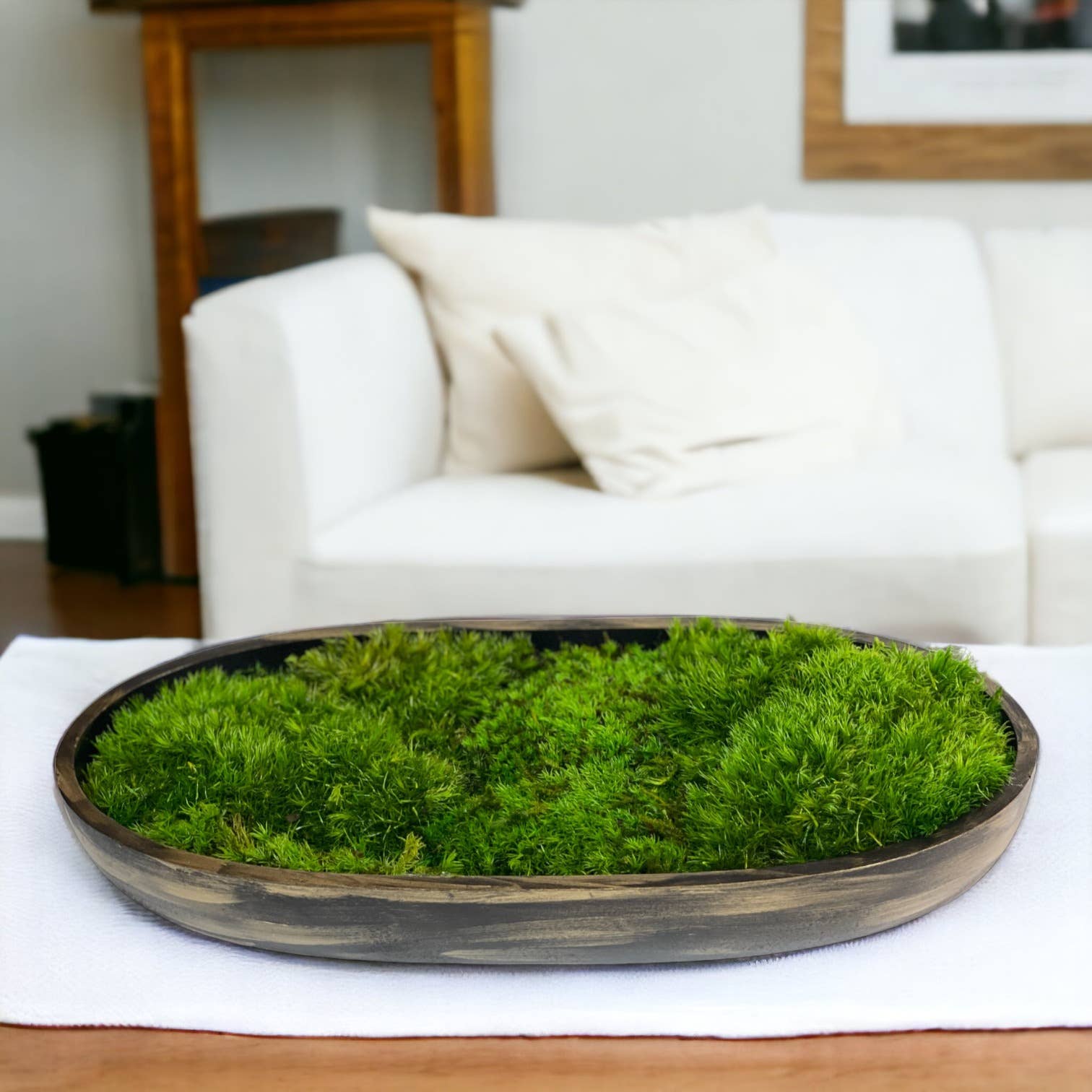 Planters Made in the USA - Wholesale Decorative Tabletop Object - Moss Table Centerpiece Decor Preserved Plant, Forever Green0