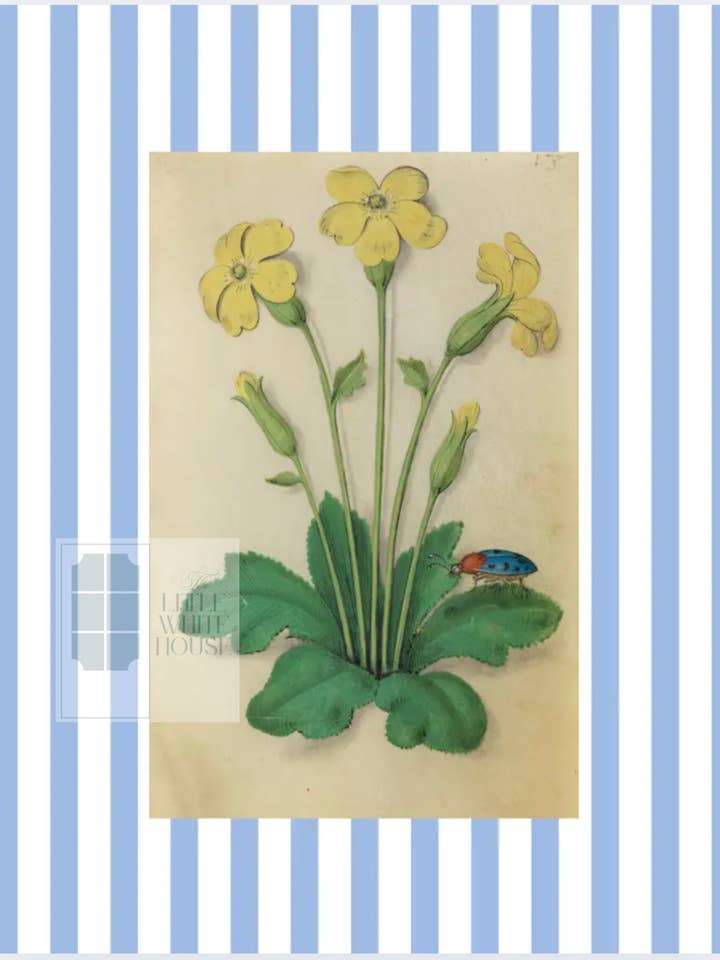 Blue & White Botanical Study, Giclee Print : STUDY 3 for wholesale by The Little White House