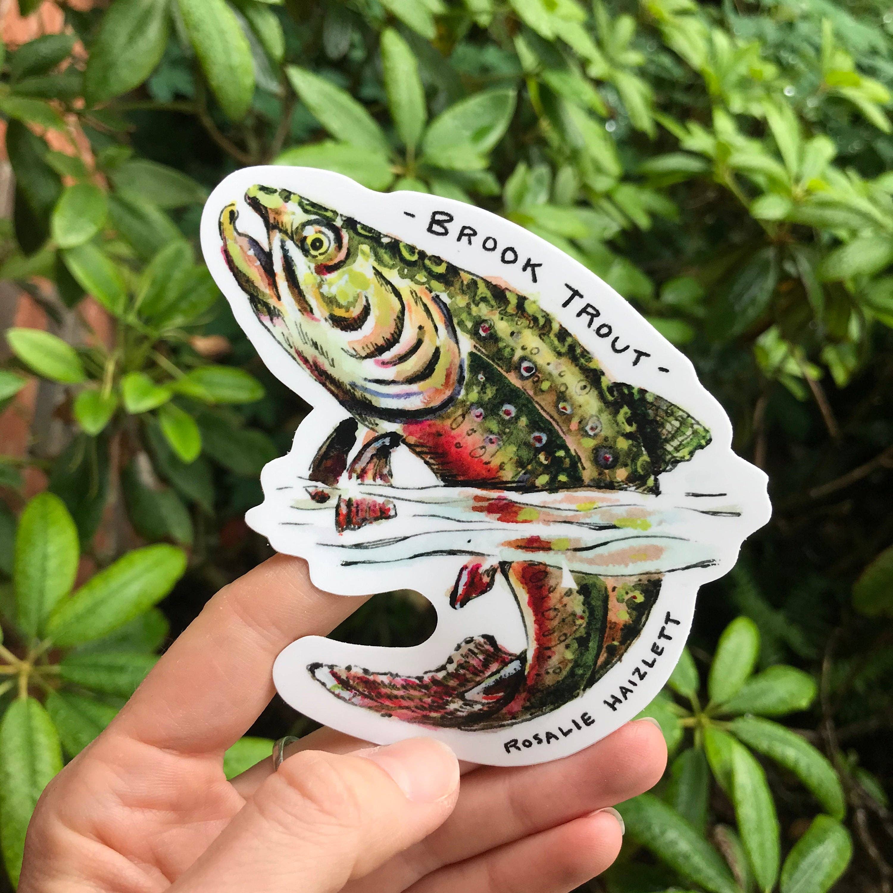 Rosalie Haizlett Illustration - Wholesale Sticker - Brook Trout Waterproof Sticker1
