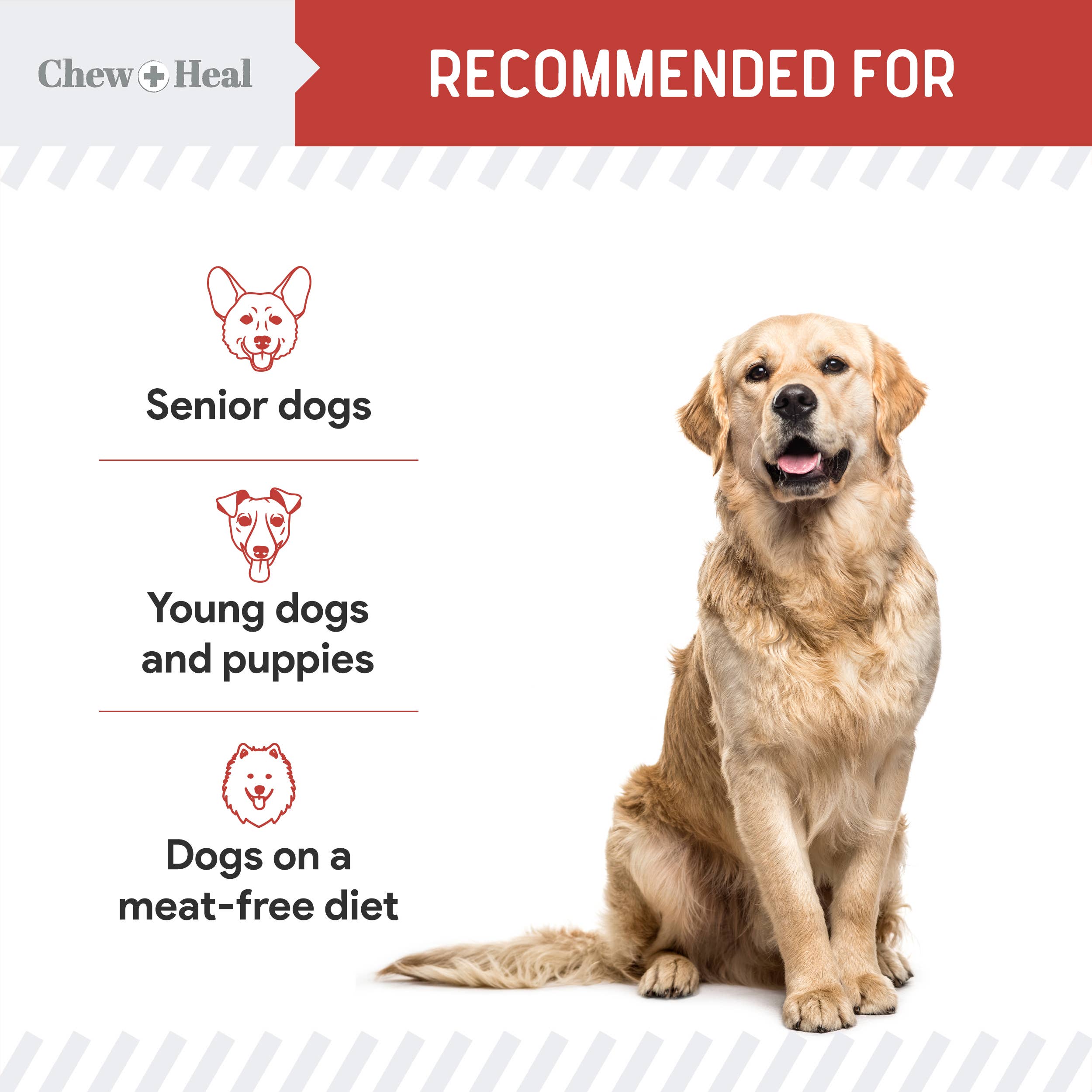 Chew + Heal - Vente Friandises – chien - Friandises pour chiens à ingrédients limités au saumon sauvage d'Alaska Focus7