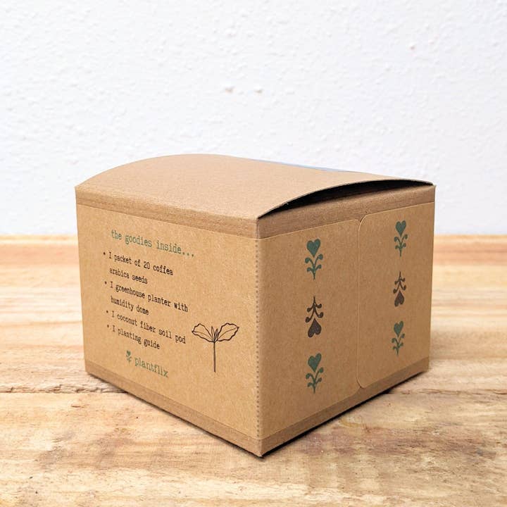 Plantflix - Wholesale Plant Seeds - Houseplant Seed Kit 1