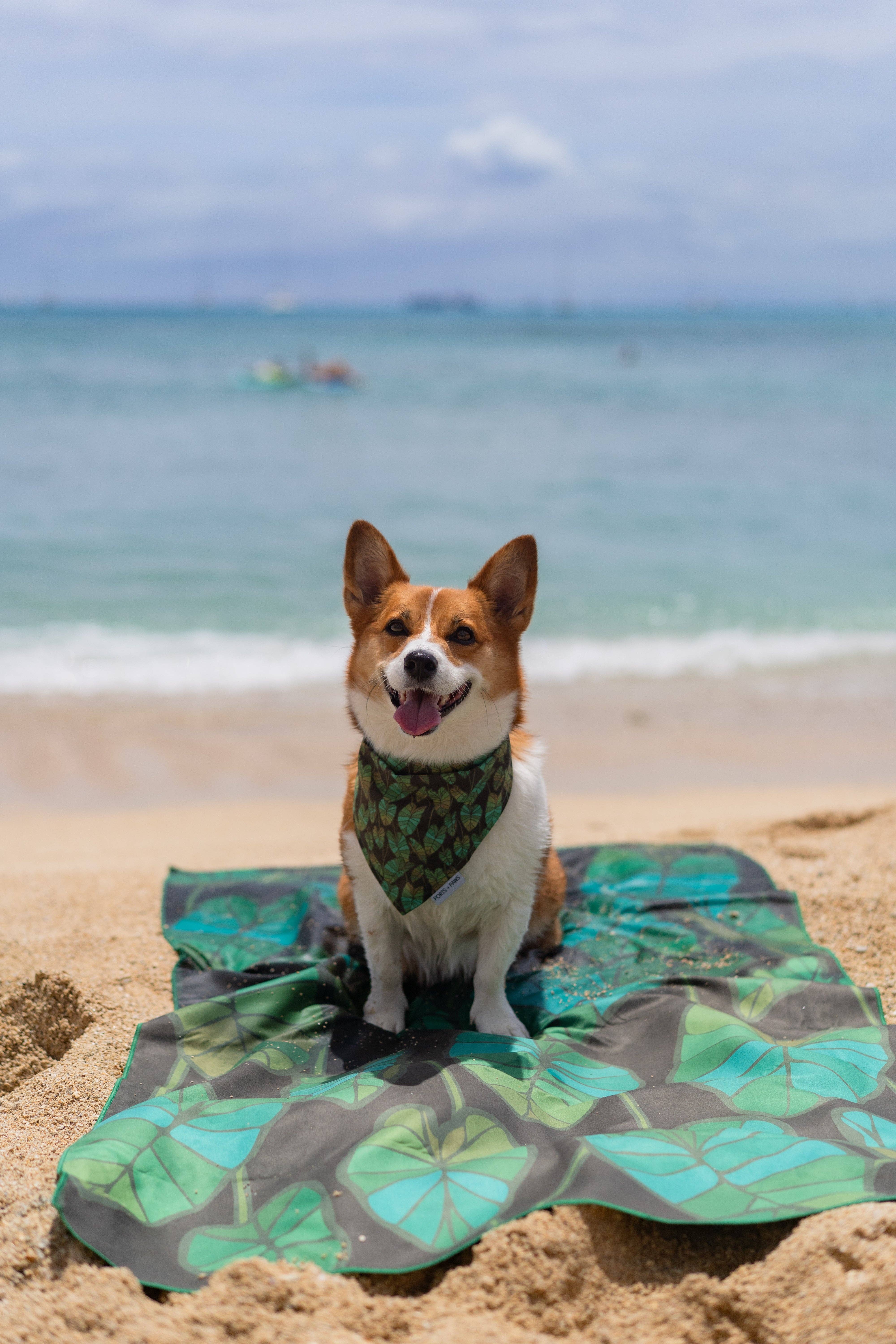 Ports and Paws - Wholesale Beach Towel - TOWEL - KALO3